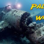 パラオで有名な沈没船をいくつか紹介