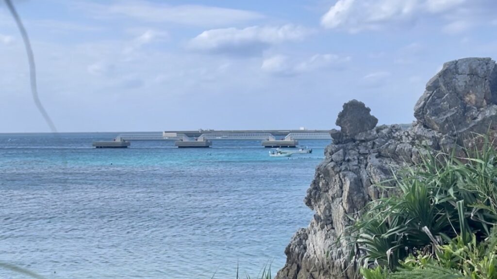 沖縄ダイビング　ゴリラチョップ