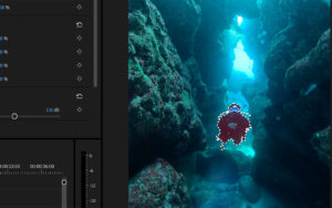 ダイビング　水中　動画編集
