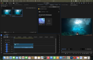 プレミア　共同編集