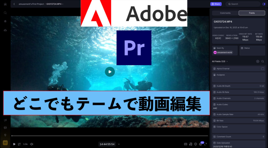 Adobe　プレミア 共同編集