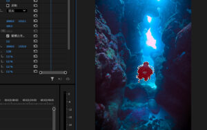 ダイビング　動画編集